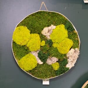 Tableau v&eacute;g&eacute;tal en mousse &eacute;ternelle